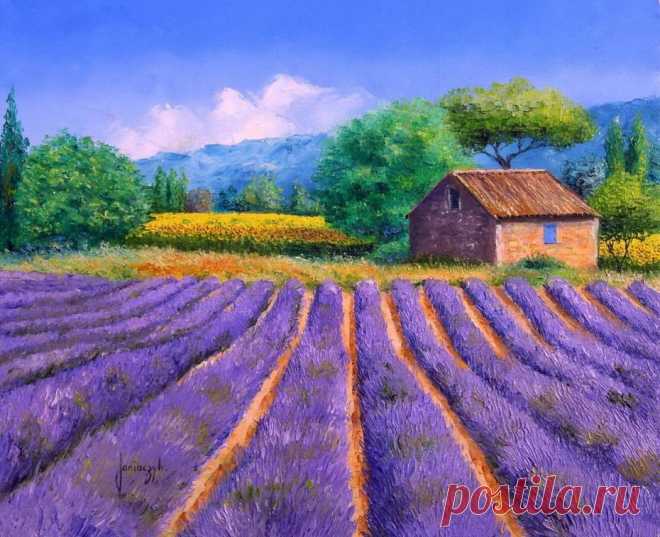 Буйство красок. Художник Jean Marc Janiaczyk