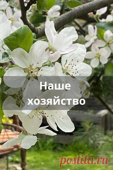 Наше хозяйство