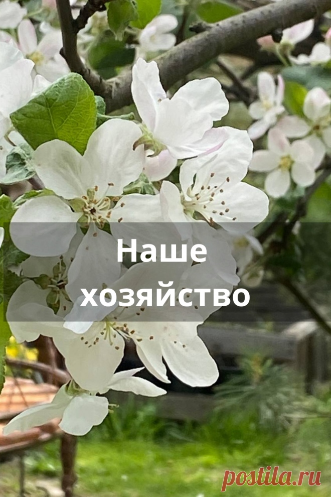 Наше хозяйство