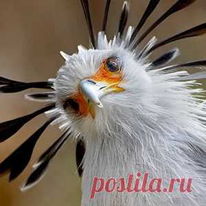 хх