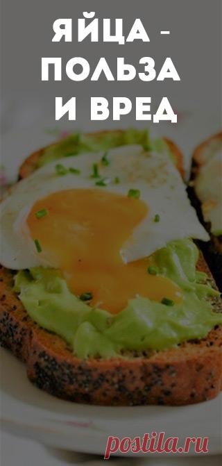 Яйца - польза и вред. Повышают ли яйца холестерин. Питание для здоровья и похудения • питание • пп • зож • похудение • диеты • снизить вес • правильные продукты • питание для похудения • правильное питание • полезное питание • здоровое питание • сбалансированное питание • рациональное питание • спортивное питание • как правильно питаться • лечебное питание • здоровая пища • сбалансированная диета • рацион питания • питание и здоровье • диетическое питание • правильная диета