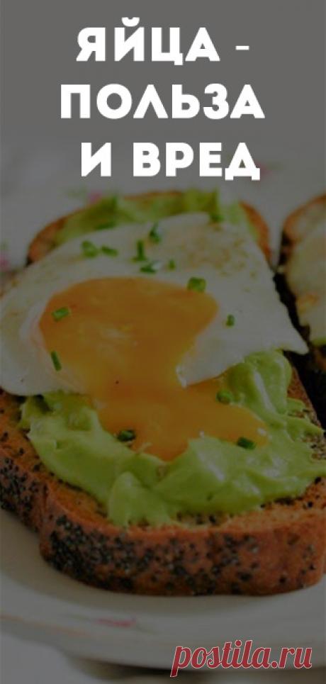 Яйца - польза и вред. Повышают ли яйца холестерин. Питание для здоровья и похудения • питание • пп • зож • похудение • диеты • снизить вес • правильные продукты • питание для похудения • правильное питание • полезное питание • здоровое питание • сбалансированное питание • рациональное питание • спортивное питание • как правильно питаться • лечебное питание • здоровая пища • сбалансированная диета • рацион питания • питание и здоровье • диетическое питание • правильная диета