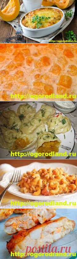 Блюда из тыквы. Подборка рецептов вторых блюд с тыквой