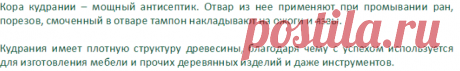Малиновое дерево Кудрания триостренная