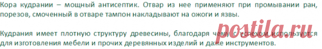 Малиновое дерево Кудрания триостренная