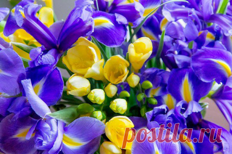 Фотографии на стене сообщества | 32 780 фотографий