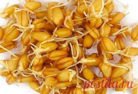 Рецепт натурального средства от рака, которое уже помогло тысячам людей!
Рецепт доктора медицинских наук России, профессора Мерзлова.