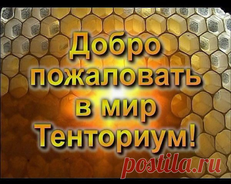 В процессе жизни организм человека проходит несколько этапов загрязнения, обретая на пути тысячи болезней. Первые признаки  появляются,  как общее  утомление - это признаки зашлаковки нервных каналов, которые приводят к шейному остеохондрозу. К усталости добавляется головная боль, ломота в суставах, мышцах. Это может сигнализировать о том,что человек употребляет много сладостей, сала, т.е. организм перенасыщен пищей, которая не подходит конкретному человеку.