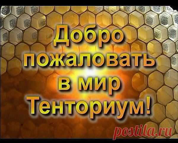 В процессе жизни организм человека проходит несколько этапов загрязнения, обретая на пути тысячи болезней. Первые признаки  появляются,  как общее  утомление - это признаки зашлаковки нервных каналов, которые приводят к шейному остеохондрозу. К усталости добавляется головная боль, ломота в суставах, мышцах. Это может сигнализировать о том,что человек употребляет много сладостей, сала, т.е. организм перенасыщен пищей, которая не подходит конкретному человеку.