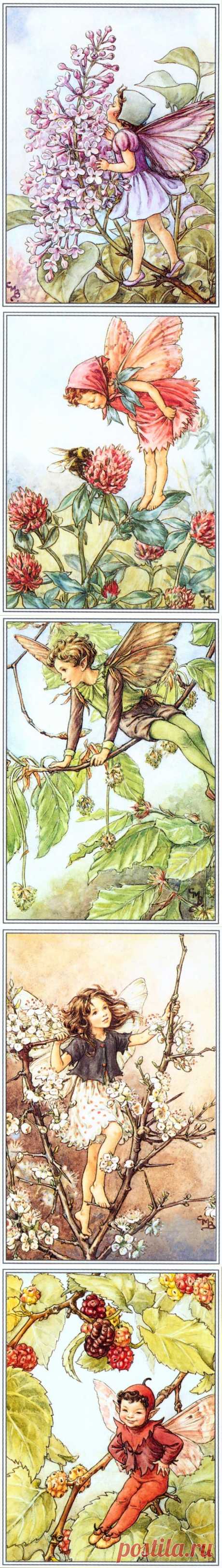 Cecily Mary Barker. Сказочный народец..