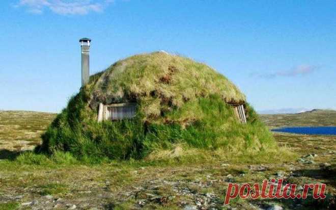 Дома из подручных материалов - Ниф-ниф и Наф-наф отдыхают | Дачный участок