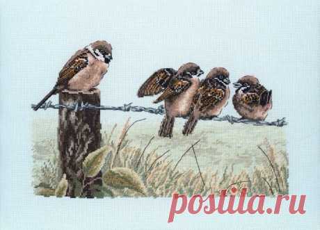 ___ПТИЦЫ | Записи в рубрике ___ПТИЦЫ | Дневник RitaVoytik
