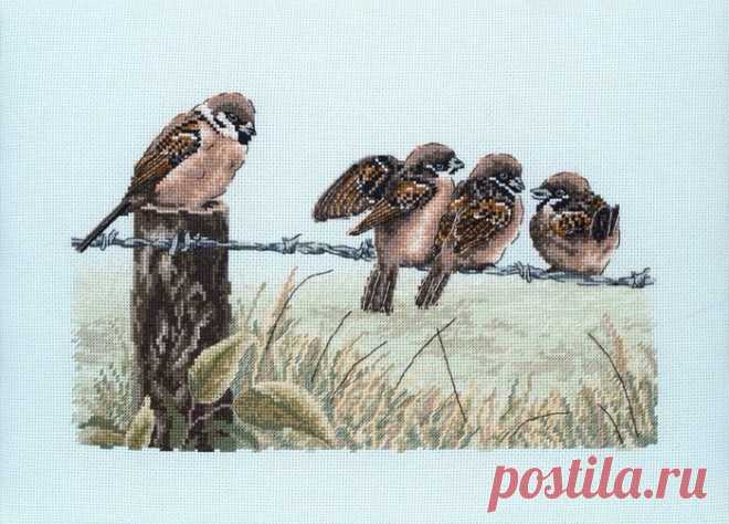 ___ПТИЦЫ | Записи в рубрике ___ПТИЦЫ | Дневник RitaVoytik