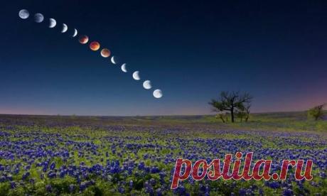 Лунный календарь на 24 апреля (рекомендации) Грядущие лунные сутки — период дисгармонии. Это будет связано с заблуждениями, обманами и различными осложнениями в жизни. У вам может возникнуть желание сбежать от проблем, уйти от ответственности. Вместе с тем появится чувство неудовлетворенности жизнью, окружением, обществом и всем миром в целом.