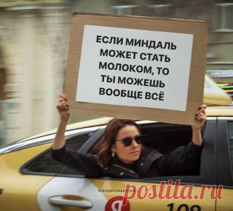цитата дня