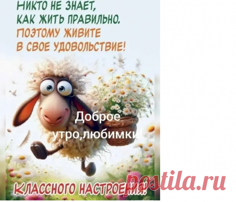 Выпуск №6741 - выпуск анекдотов сайта вокруг смеха