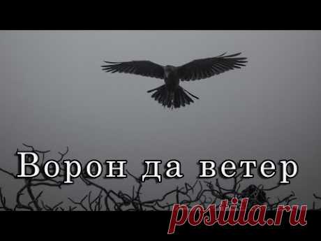 Николай Джинчарадзе — Ворон да ветер.