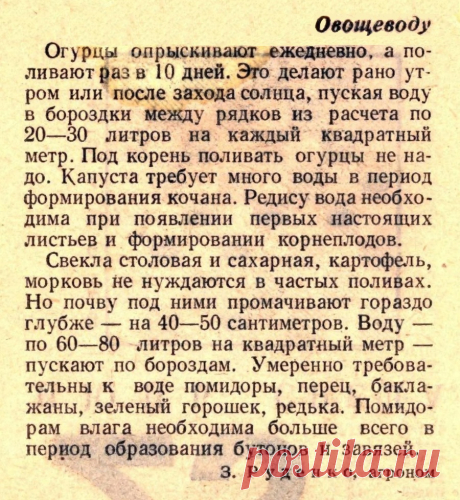 О поливе овощей
