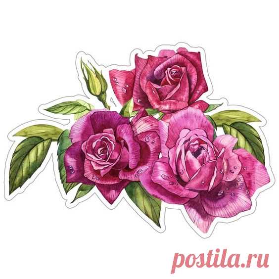(24) Pinterest