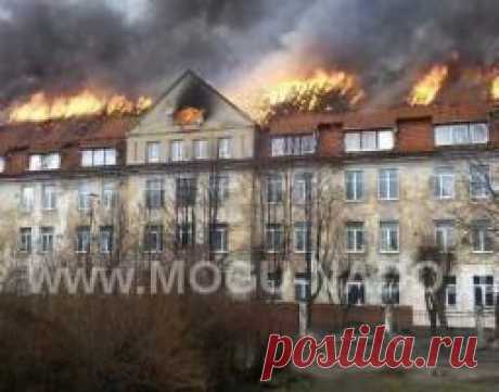 Помощь семье после пожара...&quot;Здравствуйте! Меня зовут Наталья,я погорелец. У меня сгорел многоквартирный дом в котором жила моя семья.После пожара ничего не осталось ни мебели, ни вещей, ни техники. Очень нужна помощь любая на восстановления жилья и покупку мебели, бытовых приборов...&quot;Наталья пишет прекрасные картины!...