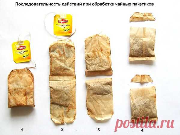 Необычный способ выращивания рассады.