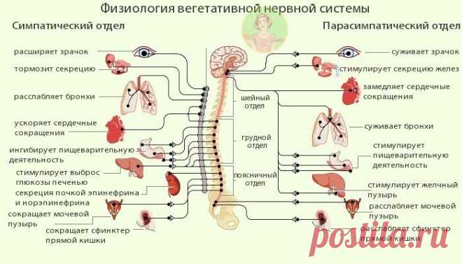 (11) Мой Мир@Mail.Ru