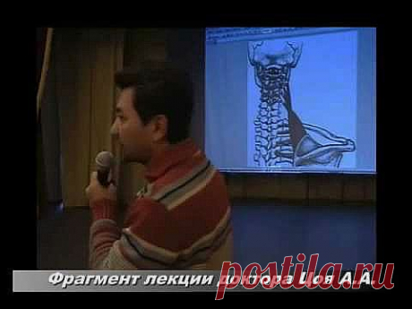 Цой А.А. Кровоснабжение Головы и Триггеры.www.zdravgid.ru .flv - YouTube