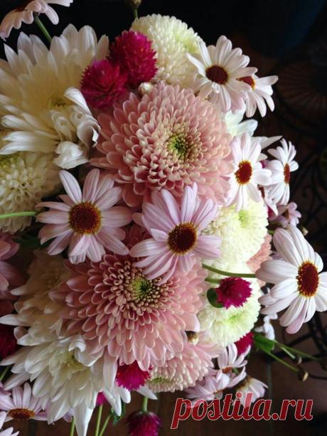 флористика