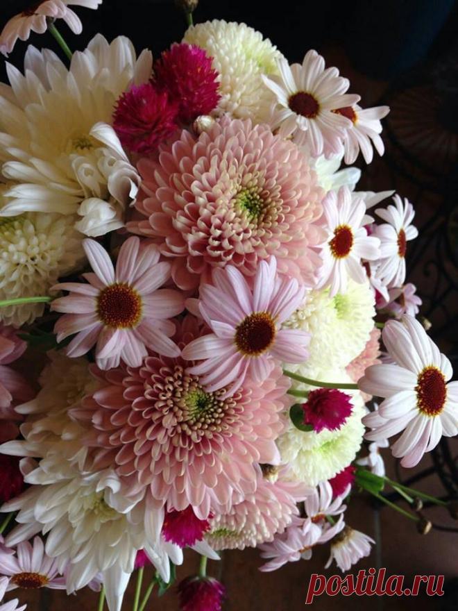 флористика