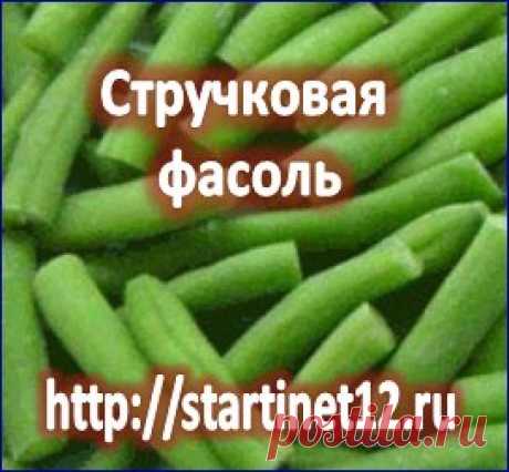 Полезные свойства стручковой фасоли: диетические рецепты