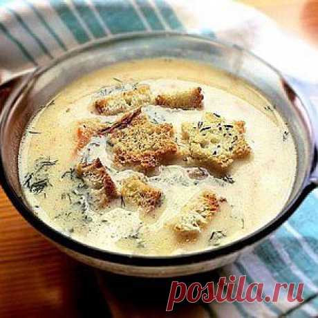 Сырный суп по-французски с курицей рецепт – супы