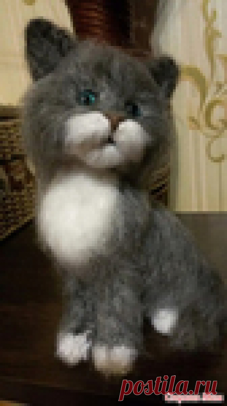 вязаный котик