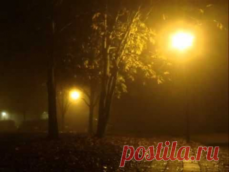 ТУМАННЫЙ ВЕЧЕР
Птица белым крылом день отделит от ночи.
Камнем вниз упадет, но поднимется вновь.
Кто-то жизнь лишь начнет, кто-то - просто закончит.
Но по прежнему мы еще верим в любовь.