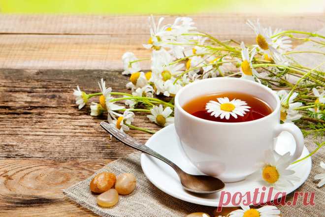 Ромашковый чай продлевает жизнь женщин 

Ромашка считается одним из наиболее распространенных лекарственных растений. В техасском университете выяснили, что она помогает при множестве недугов. В исследовании ученых участвовали 1677 мексика…