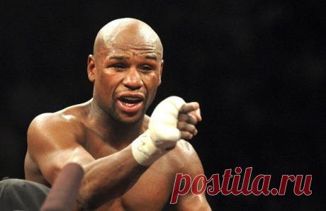 Вы сборище ленивых ничтожеств, прикрывающих свою лень обстоятельствами! Вы никогда не подниметесь на пьедесталы, и не покорите Эверест / Абсолютное здоровье