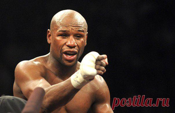 Вы сборище ленивых ничтожеств, прикрывающих свою лень обстоятельствами! Вы никогда не подниметесь на пьедесталы, и не покорите Эверест / Абсолютное здоровье