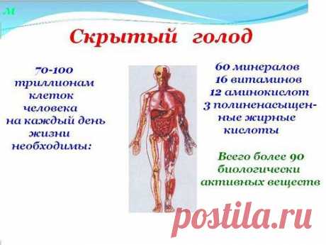 Когда человеку не хватает кислорода, наступает удушье, воды-жажда, еды -голод. Когда клеткам не хватает витаминов, микро и макроэлементов, аминокислот и полиненасыщенных жиров - человек это не ощущает. Но, в конечном счете, серьезно заболевает и часто восстановить этот баланс уже не возможно. Что же делать? Учиться быть здоровым!
Мой скайп: vera/vera1951