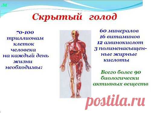 Когда человеку не хватает кислорода, наступает удушье, воды-жажда, еды -голод. Когда клеткам не хватает витаминов, микро и макроэлементов, аминокислот и полиненасыщенных жиров - человек это не ощущает. Но, в конечном счете, серьезно заболевает и часто восстановить этот баланс уже не возможно. Что же делать? Учиться быть здоровым!
Мой скайп: vera/vera1951