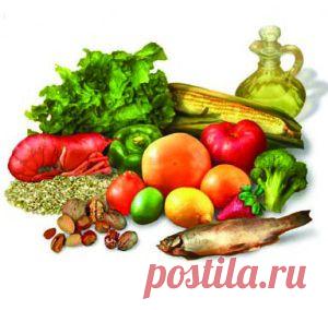 Правильное питание - здоровый выбор