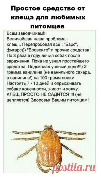 Моя дача
