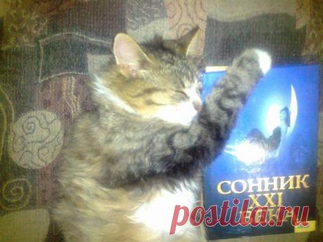 Сладких снов...