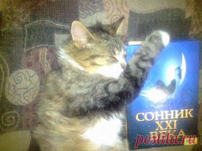 Сладких снов...