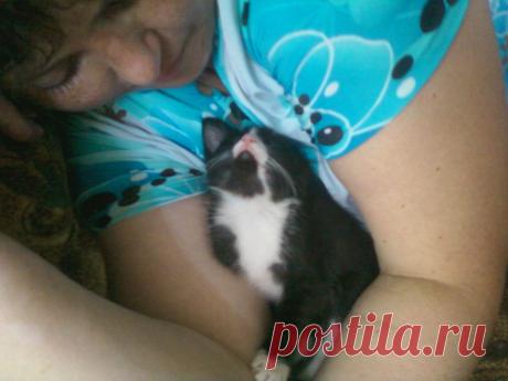 где болит подуть