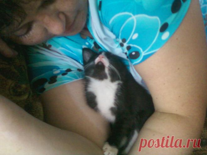 где болит подуть