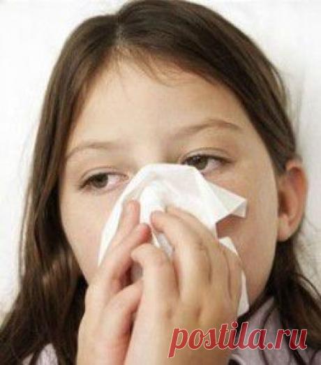 Средства от насморка | vita-jizn.net
Средства от насморка можно купить в аптеке. 43 рецепта народной медицины, которые Вы успешно можете использовать в домашних условиях для лечения насморка