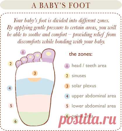 23 Incredibly Helpful Diagrams For Moms-To-Be