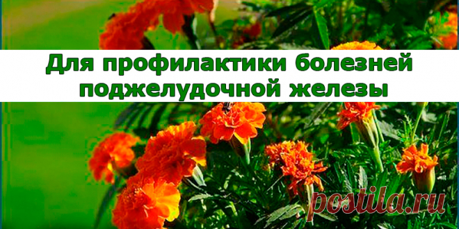 Для профилактики болезней поджелудочной железы и сахарного диабета | Полезные советы