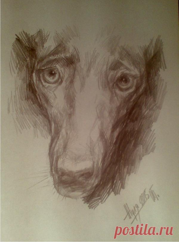 Сообщество иллюстраторов / Иллюстрации / (Ахав) Пономарев Игорь Евгеньевич / Вовсе не кусачая собака Жуля