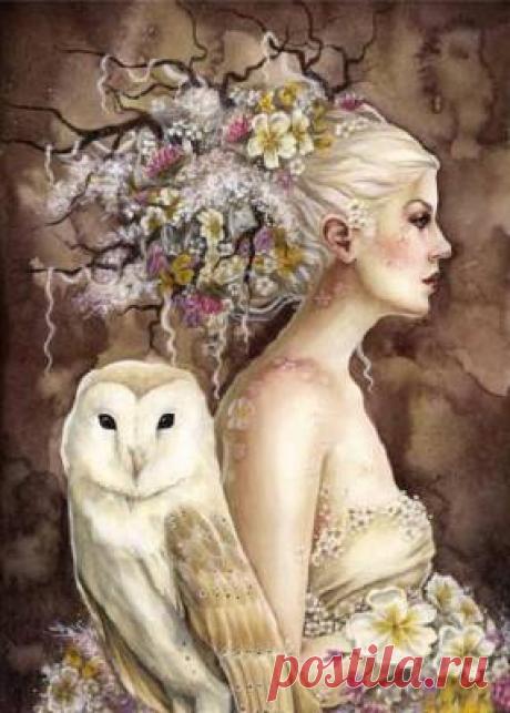 Сундучок схем - Схемы