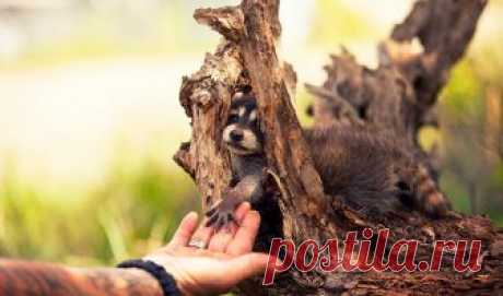 Уроки природы